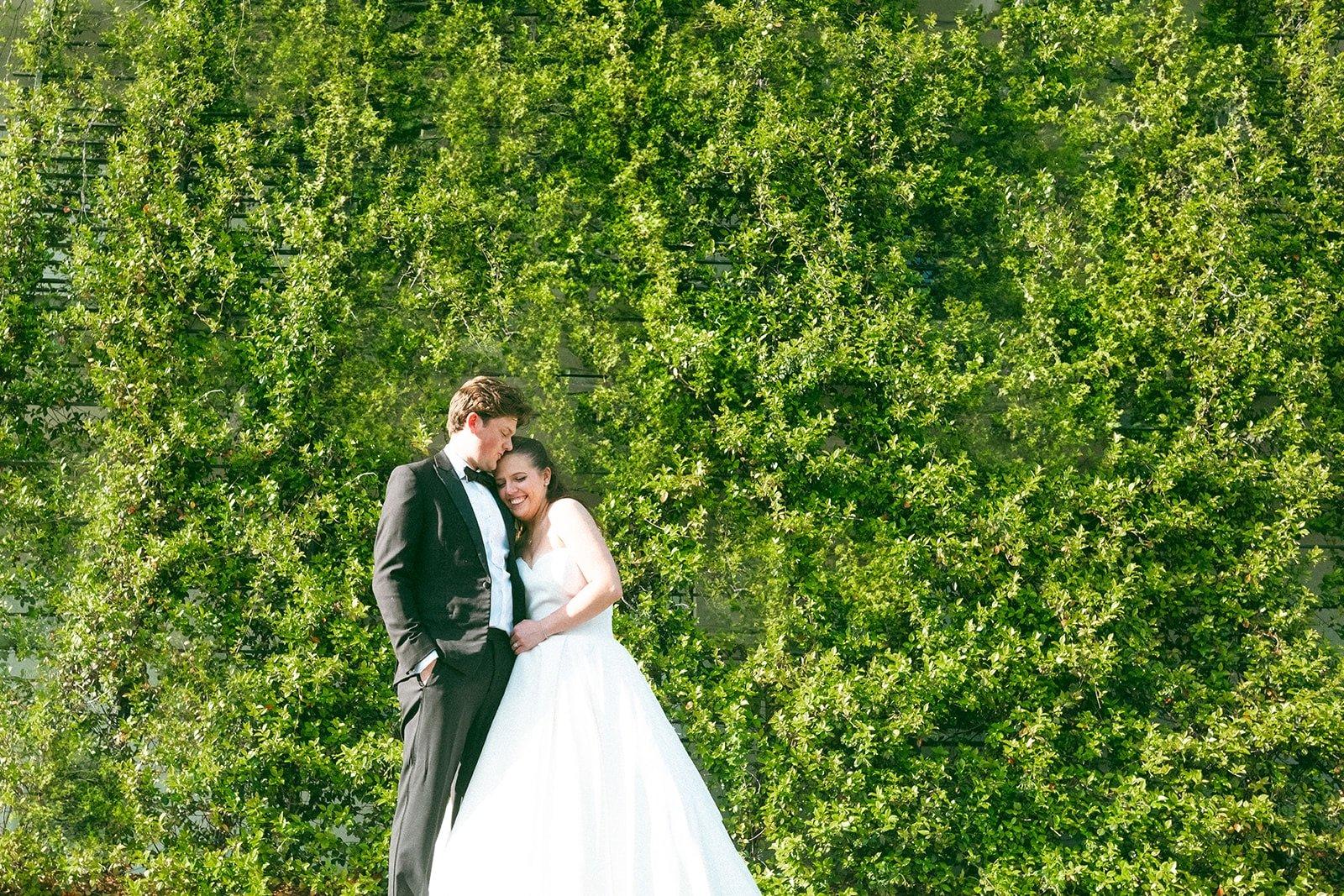 carousel-hero-element image-6